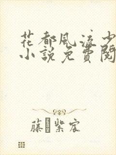 花都风流少年郎小说免费阅读
