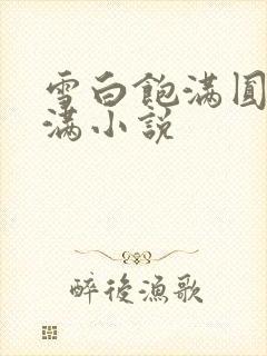 雪白饱满圆润丰满小说封面