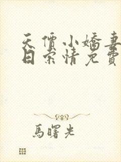 天价小娇妻33日索情免费阅读封面