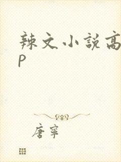 辣文小说高hnp