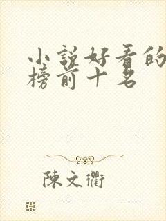 小说好看的排行榜前十名封面