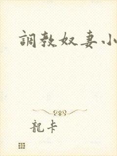 调教奴妻小说h封面