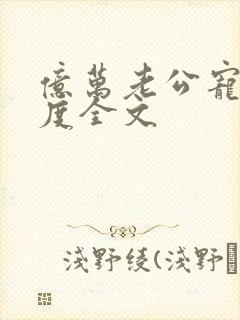 亿万老公宠妻无度全文