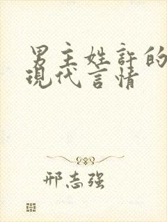 男主姓许的小说现代言情