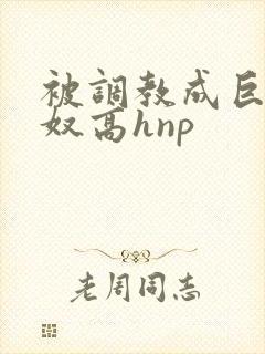 被调教成巨乳奶奴高hnp