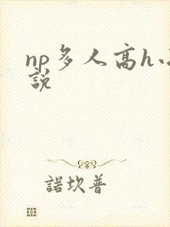 np多人高h小说
