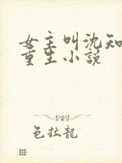 女主叫沈知鸢的重生小说