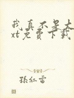 我真不是大佬txt免费下载