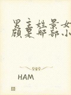 男主姓景女主姓顾是哪部小说