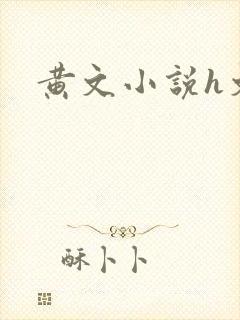 黄文小说h文
