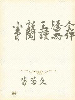 小说王腾全文免费阅读无弹窗