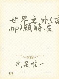 世界之外(高h,np)顾时夜