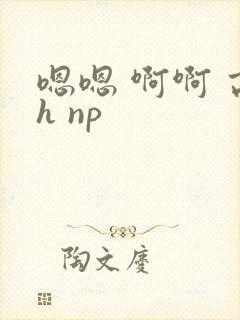 嗯嗯 啊啊 高h np