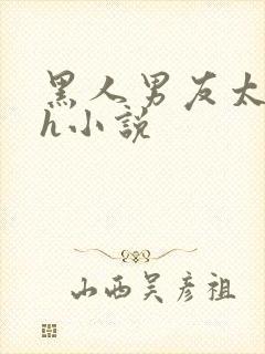 黑人男友太猛了h小说