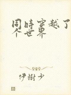 同时穿越了99个世界