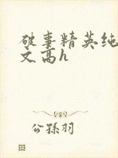 破事精英纯肉爽文高h