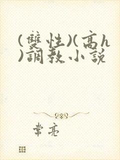 (双性)(高h)调教小说