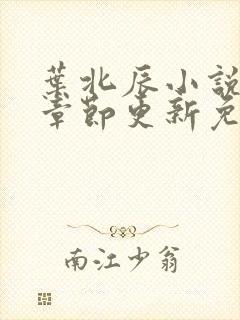 叶北辰小说最新章节更新免费阅读