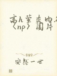 高h荤爽肉欲文〈np〉图片封面