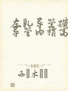 左乳导管扩张伴导管内稍高回声