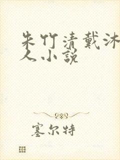 朱竹清戴沐白同人小说