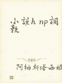 小说h np调教
