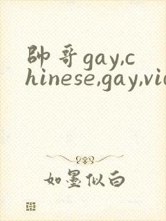 帅哥gay,chinese,gay,videos,gv,fees