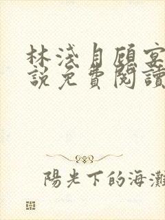 林浅月顾宴琛小说免费阅读最新章节