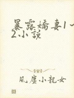 暴露娇妻1～12小说