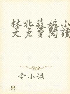 林北苏婉小说全文免费阅读最新章节赵东封面