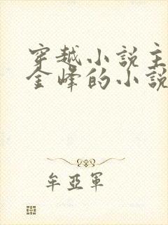 穿越小说主人公金峰的小说