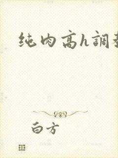 纯肉高h调教文