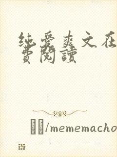 纯爱爽文在线免费阅读