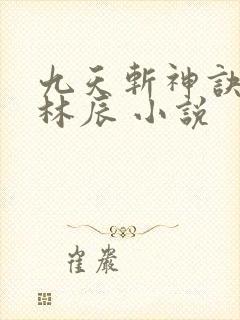 九天斩神诀小说林辰 小说