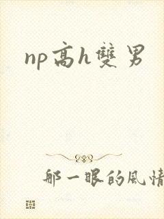 np高h双男