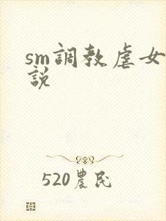 sm调教虐女小说封面