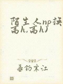 陌生人np换(高h,高h)