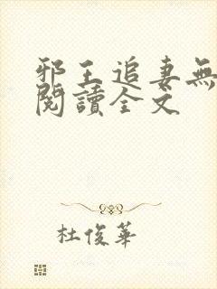 邪王追妻无删减阅读全文