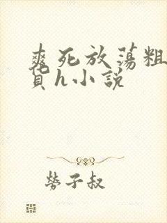 爽死放荡粗暴淫货h小说封面