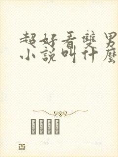 超好看双男主的小说叫什么封面