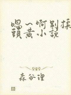 嗯～啊别揉我奶头黄小说