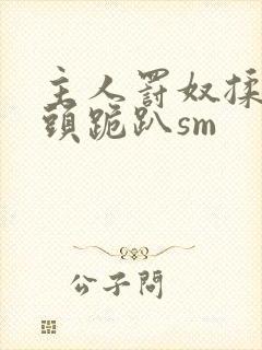 主人罚奴揉捏奶头跪趴sm