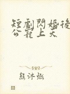 短剧闪婚后被老公宠上天封面