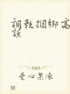 调教捆绑高潮小说封面