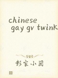 chinese gay gv twink tube