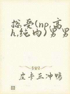 总受(np,高h,纯肉)男男文