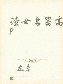 渣女名器高hnp