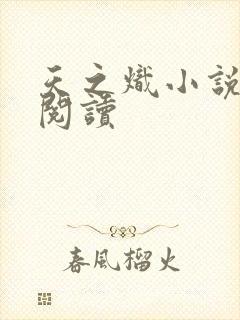 天之炽小说全文阅读