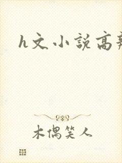 h文小说高辣文