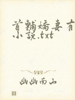 首辅娇妻有空间小说.txt